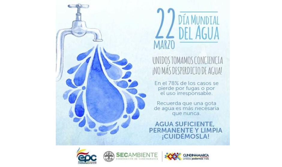 Dia del agua