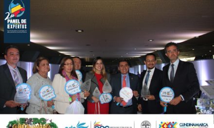 2do Panel de Expertos: gerencia para la prestación adecuada de los servicios Públicos