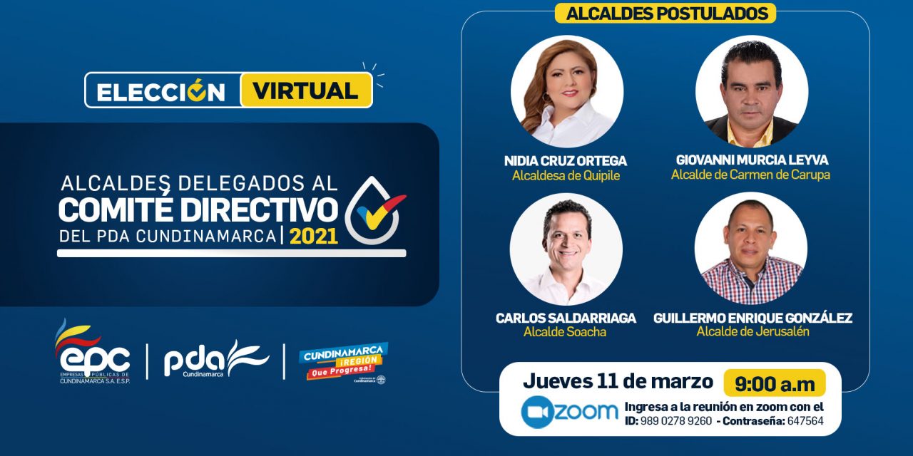 Postulados a la elección del alcaldes delegados al comité del PDA 2021