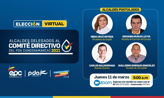 Postulados a la elección del alcaldes delegados al comité del PDA 2021