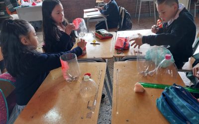 Imagen de WhatsApp 2022-11-17 a las 15.41.47