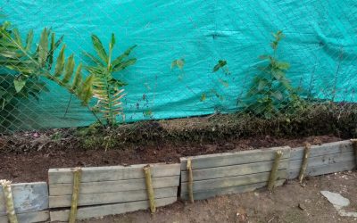 WhatsApp Image 2022-08-24 at 3.07.45 PM