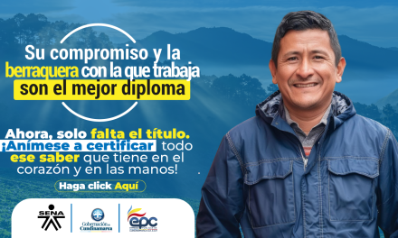 EVALUACIÓN DE COMPETENCIAS