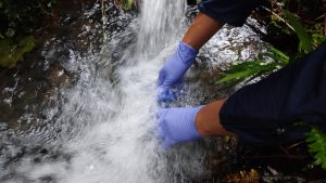 WhatsApp Image 2025-09-25 at 10.36.26 (1)