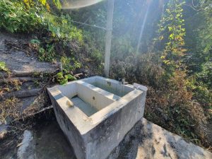 WhatsApp Image 2025-09-25 at 10.36.26 (3)