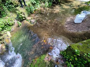 WhatsApp Image 2025-09-25 at 10.36.26 (5)