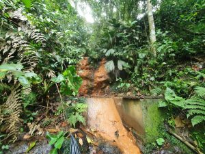 WhatsApp Image 2025-09-25 at 10.36.26 (6)