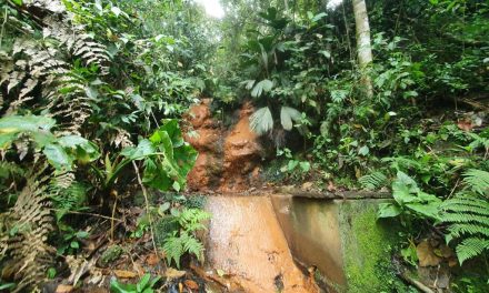 Convocatoria del programa Agua Vida Rural para los prestadores de Alto Magdalena, Sumapaz, Tequendama y Soacha.